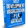 Self Development Visualization PLR Articles