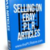 Selling on Ebay PLR Articles