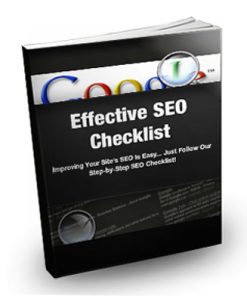 SEO Basics PLR Videos