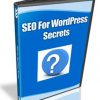 seo for wordpress videos