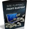 site flipping profit blueprints videos mrr