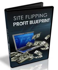 site flipping profit blueprints videos mrr