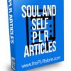 Soul and Self PLR Articles