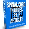 Spinal Cord Injuries PLR Articles