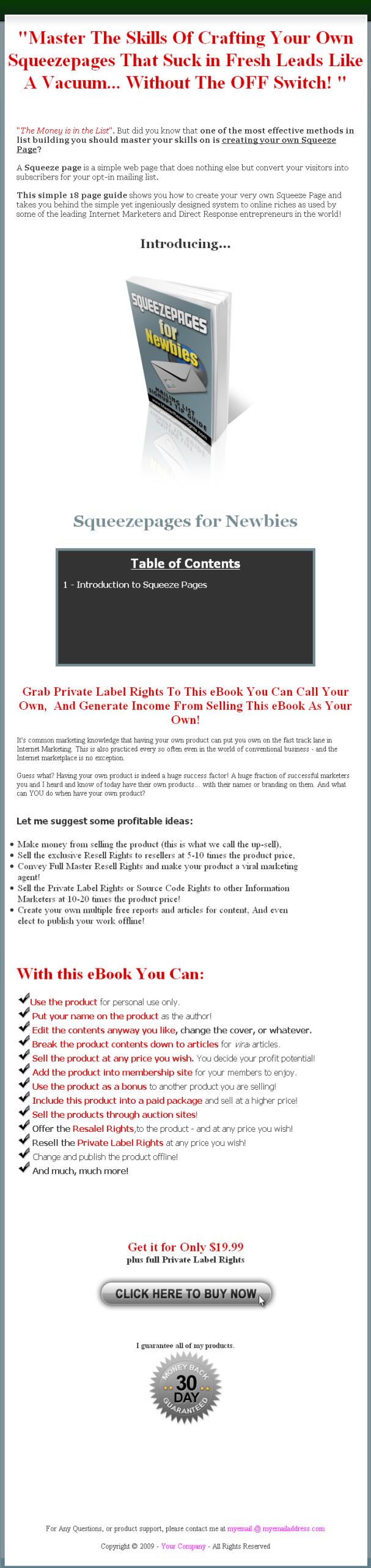 Squeezepages for Newbies PLR eBook - Image 2