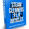 Steam Cleaners PLR Articles