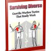 Surviving Divorce Ebook MRR