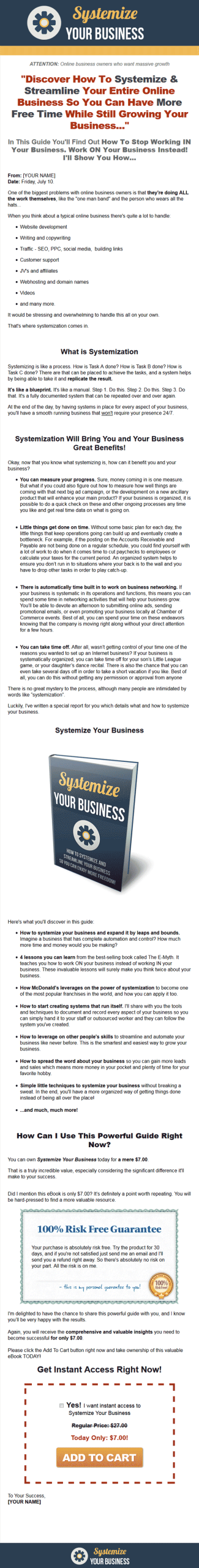 Systemize Your Business MRR Ebook - Image 2