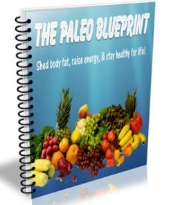 paleo diet blueprint plr ebook