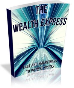 The Wealth Express PLR Ebook