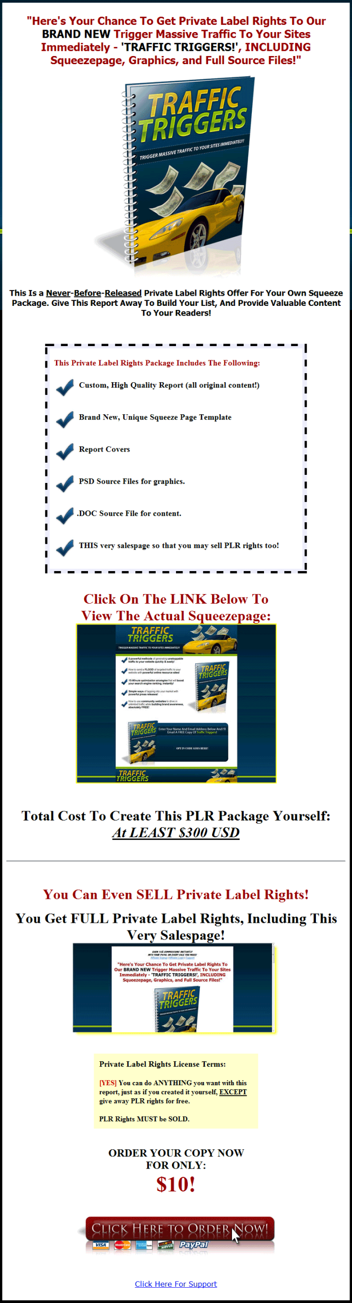 Traffic Triggers PLR Ebook with Squeeze and Reseller - Image 5