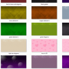 twitter plr background graphics