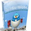 twitter profit blueprint plr ebook