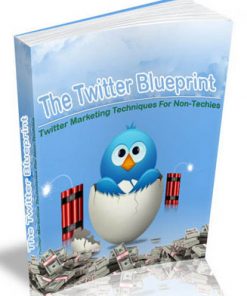 twitter profit blueprint plr ebook