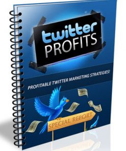 twitter profits plr ebook