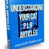 Understanding Your Cat PLR Articles