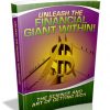 Unleash the Financial Giant PLR eBook