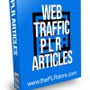Web Traffic PLR Articles
