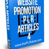 Website Promotion PLR Articles 4