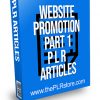 Website Promotion Part 1 PLR Articles