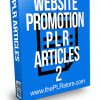 Website Promotion PLR Articles 2