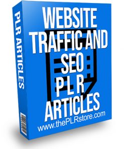 Website Traffic and SEO PLR Articles