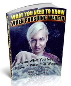 When Pursuing Wealth PLR Ebook