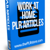 work at home plr articles