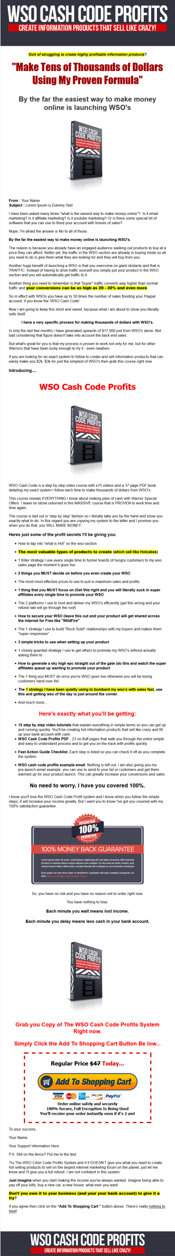 WSO Cash Code Profits PLR Video Package - Image 2