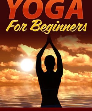 yoga for beginners plr ebook