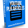 youtube plr articles