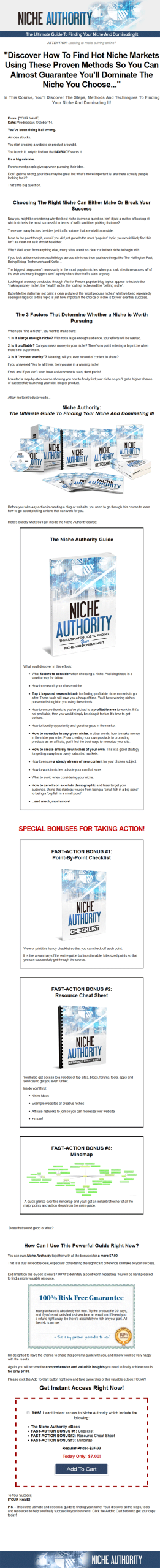 Niche Marketing Authority Ebook and Videos MRR - Image 2