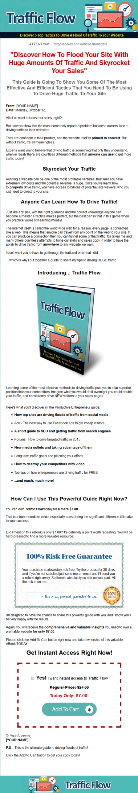 Traffic Flow MRR Ebook - Image 2