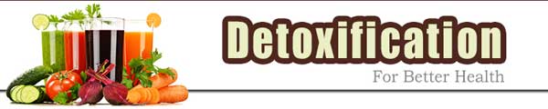 Detoxification PLR Autoresponder Message Package