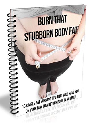 burn body fat plr