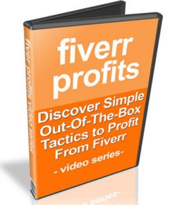 fiverr profits plr videos