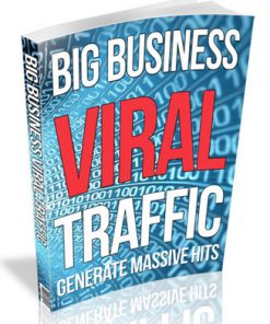 big business viral traffic plr ebook