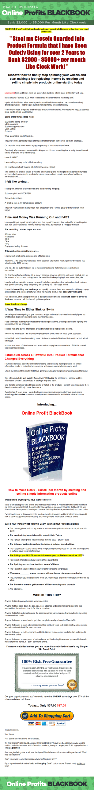 Online Profits Blackbook PLR Ebook - Image 2