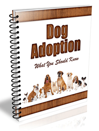 dog adoption plr autoresponder messages
