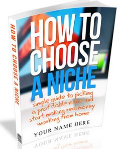 how to choose a niche plr ebook