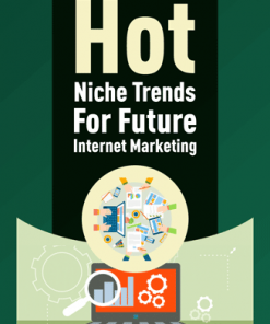 hot trends niches for internet marketing plr report