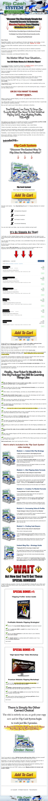website flipping cash system plr ebook and videos