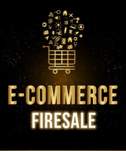 ecommerce success ebooks and videos