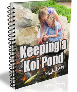 keeping a koi pond plr email messages