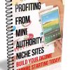 profiting from mini authority niche sites ebook
