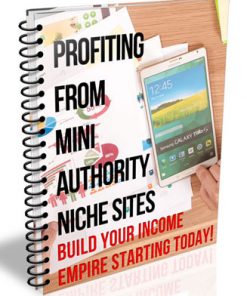 profiting from mini authority niche sites ebook