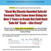 solo ad professor plr videos ready to sell