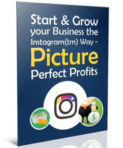 grow your business with instagram plr report