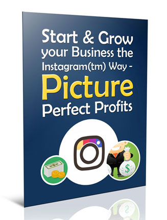 grow your business with instagram plr report