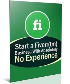 how to start a fiverr business plr report